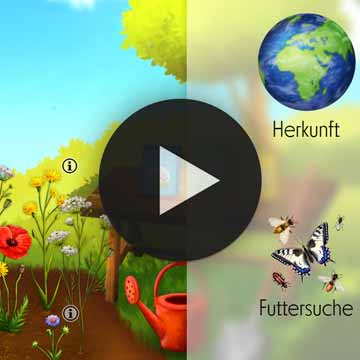 BLÜHMISCHUNGEN - Video 1
