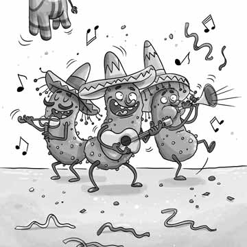 Hitzefrei! - Bild 1