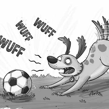 Der Wunderstürmer - Bild 1